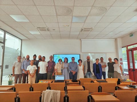 gruppo-lavoro-spoke6